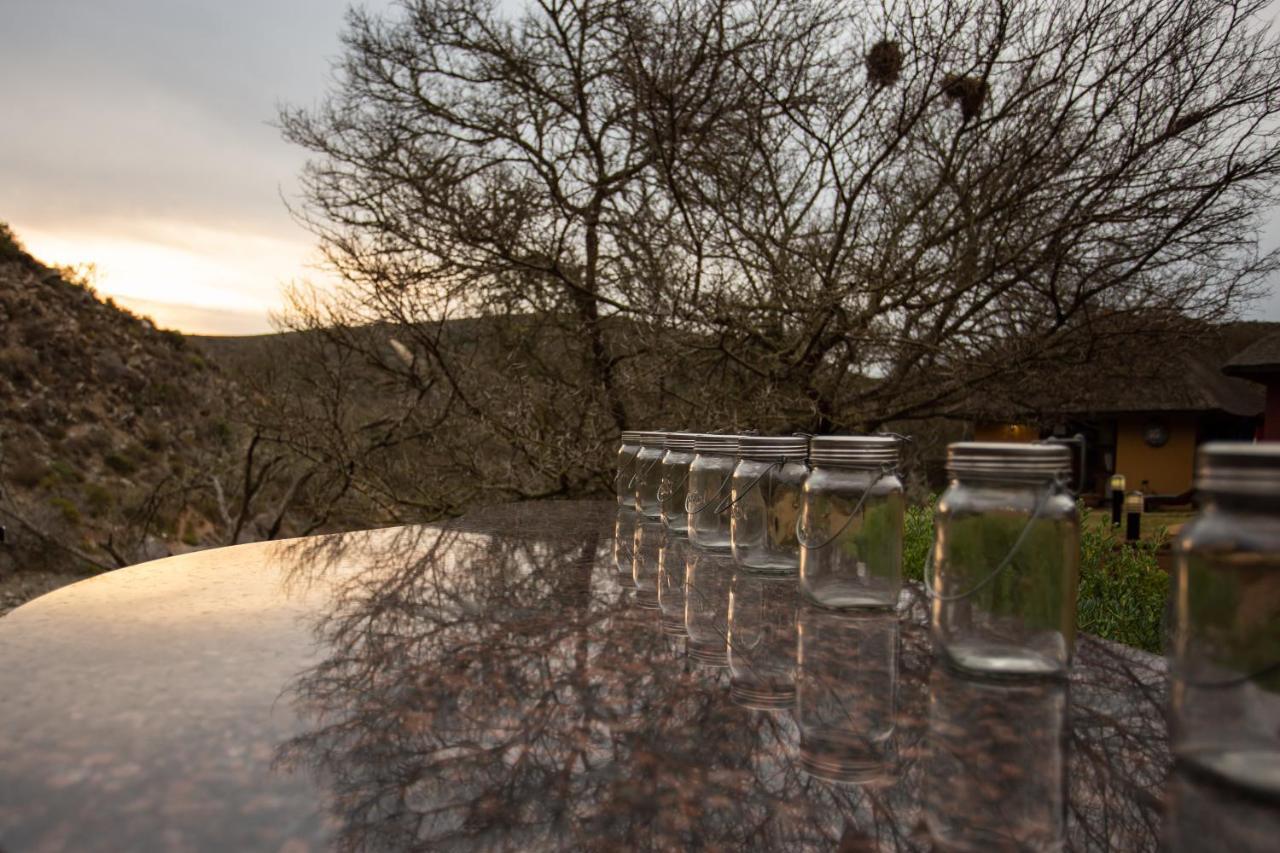 Indalu Game Reserve Boggomsbaai Εξωτερικό φωτογραφία